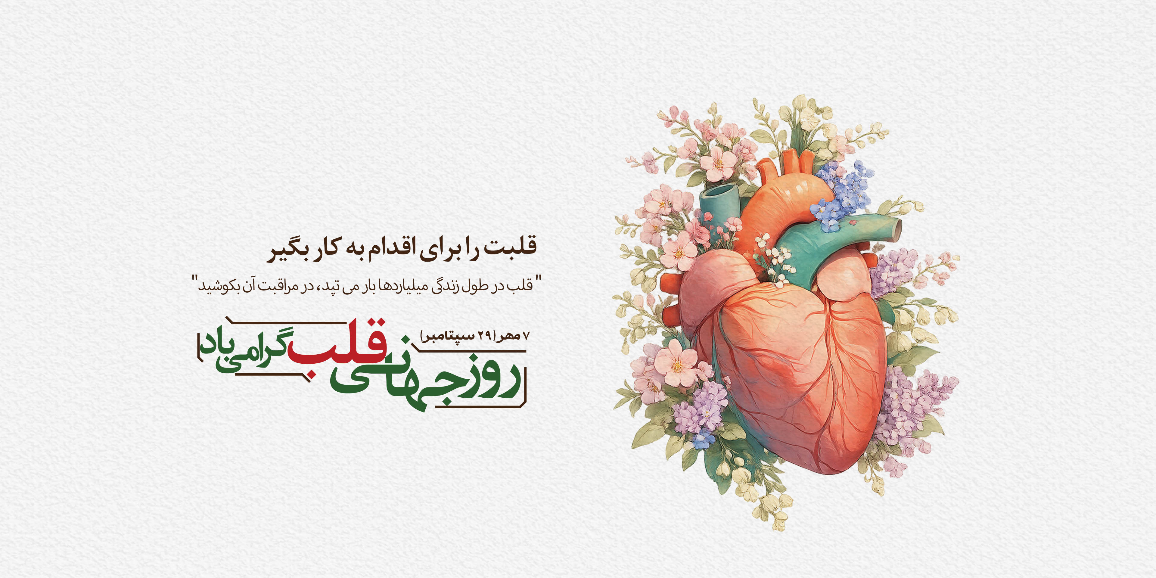 قلب
